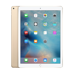 iPad Pro 12.9-inch (Wifi + 4G) 256gb ( Mới 99% )